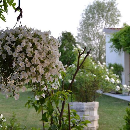 Two Elegant Depandance Villa Conscio Exterior photo