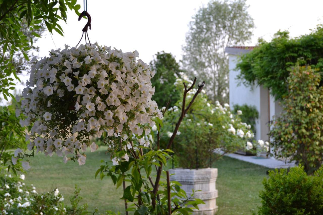 Two Elegant Depandance Villa Conscio Exterior photo