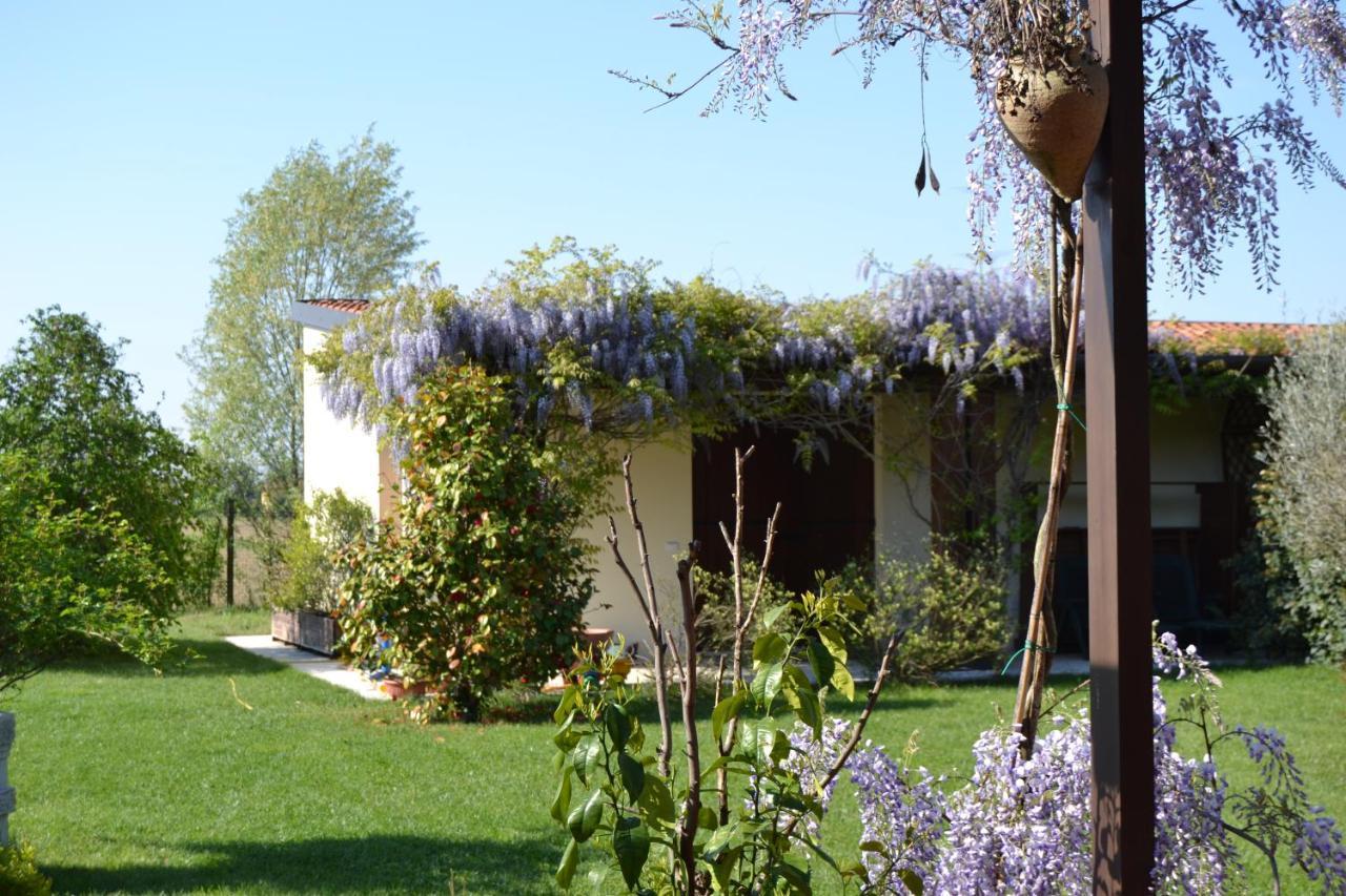 Two Elegant Depandance Villa Conscio Exterior photo